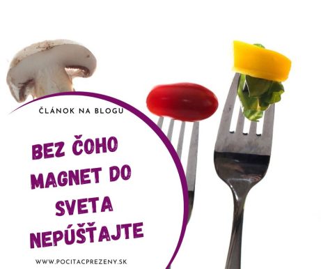 magnet a jeho ingrediencie